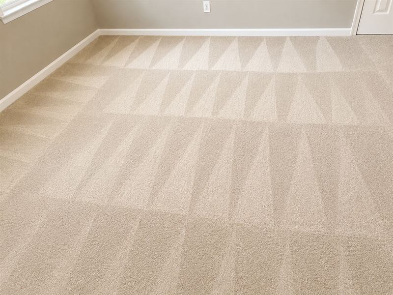 Steam cleaning results